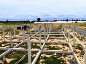 カンボジアのボレイ