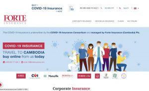 カンボジアコロナ禍の入国に必要なもの